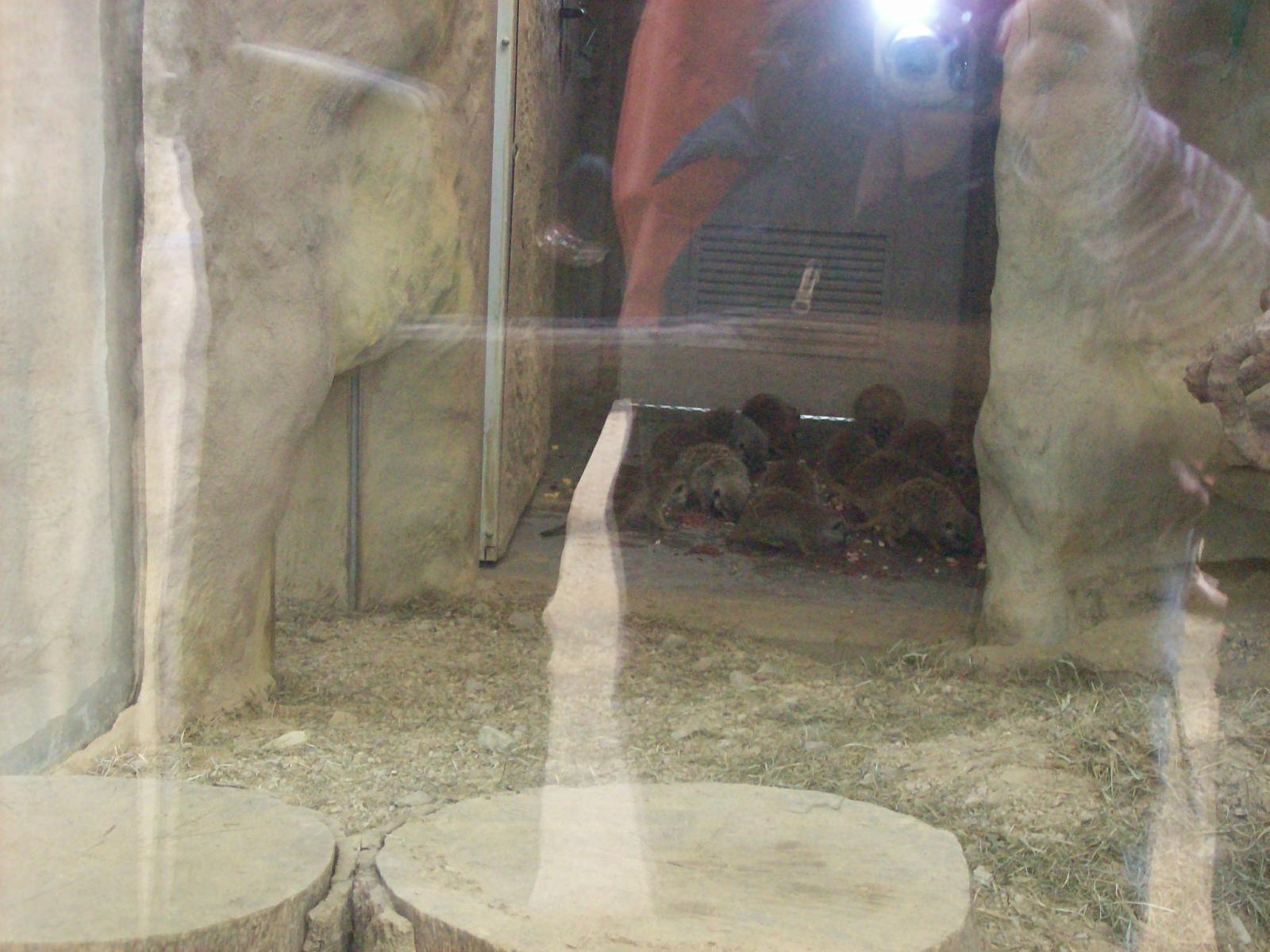Zoom 18.10.2008-170.jpg